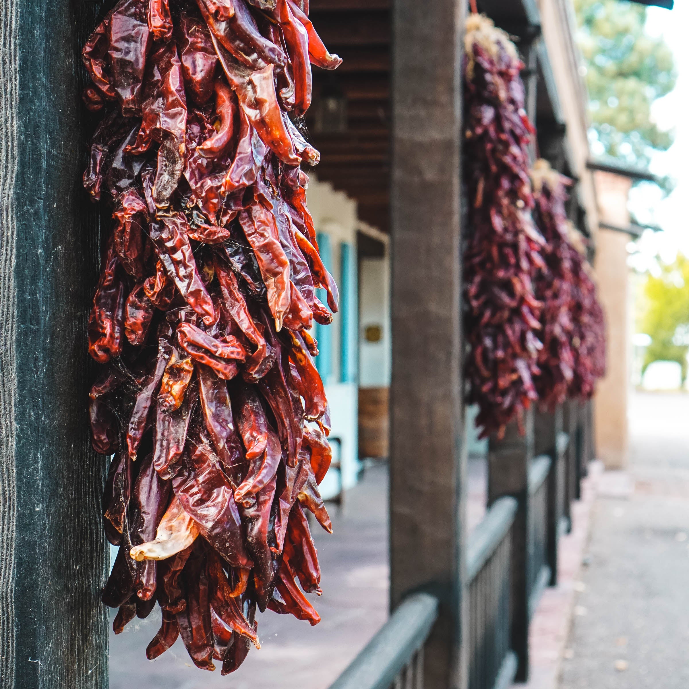 Southwest Style: Our Fall Buying Trip!