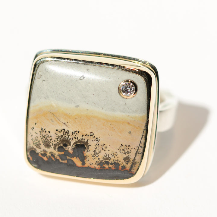 Picture Jasper Ring