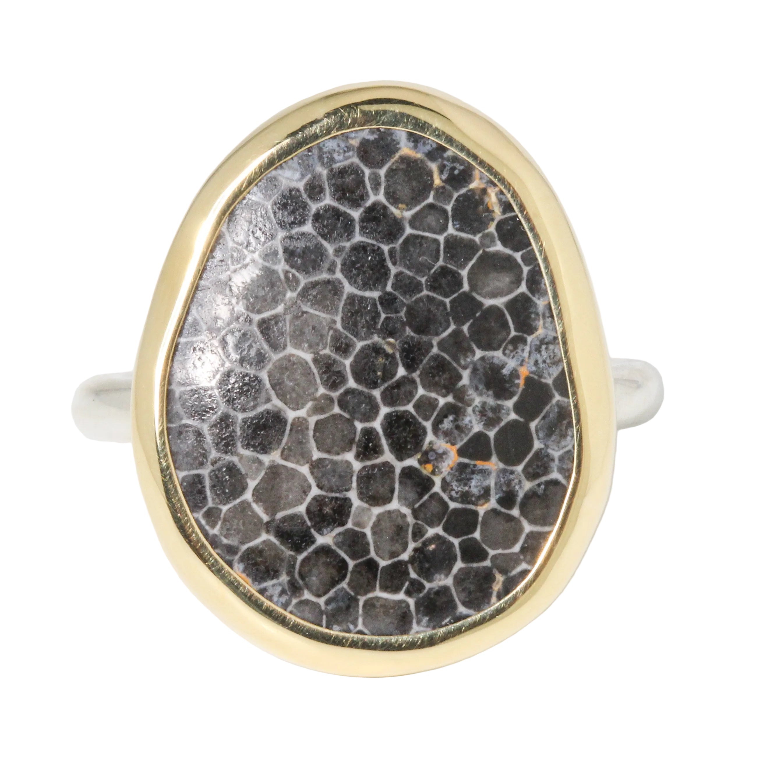 Fossilized Stingray Coral Ring