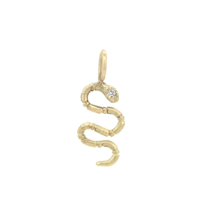 Snake Charm Pendant