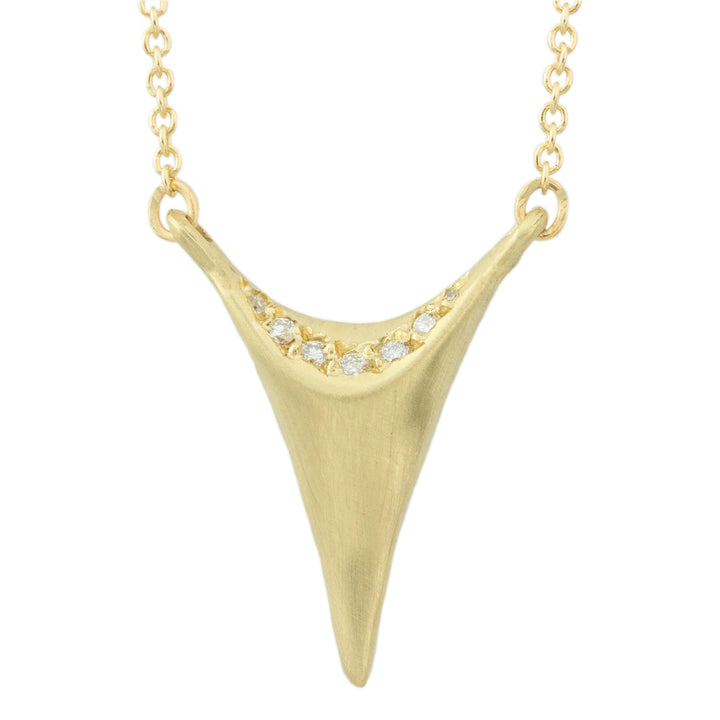 Shark Tooth Necklace