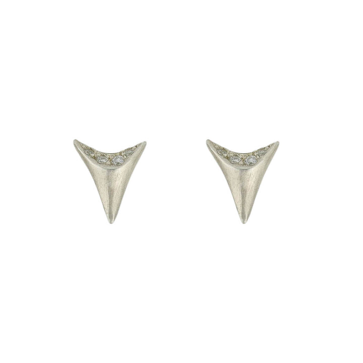 Mini Shark Tooth Post Earrings