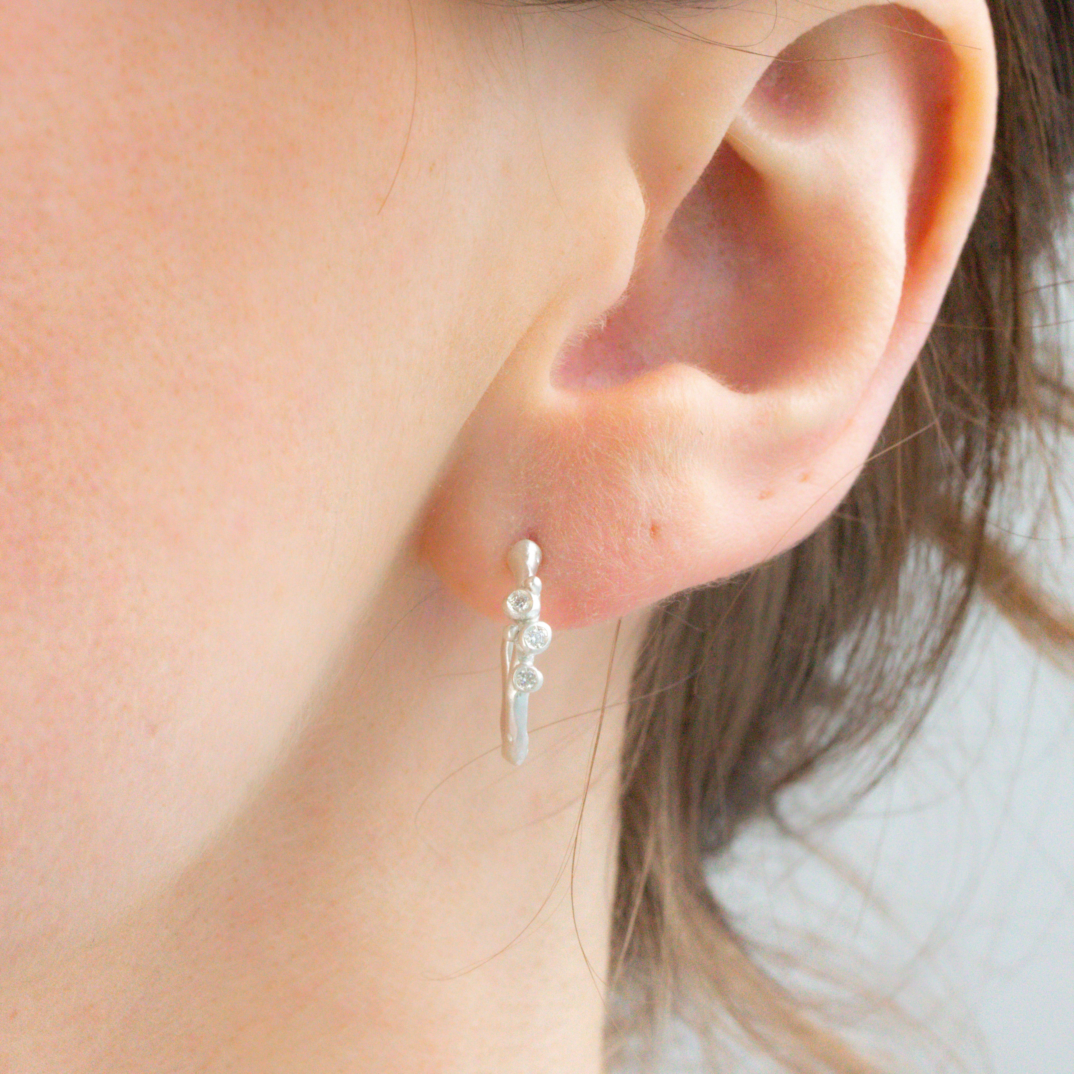 Encrusted Branch Hoops-Branch
